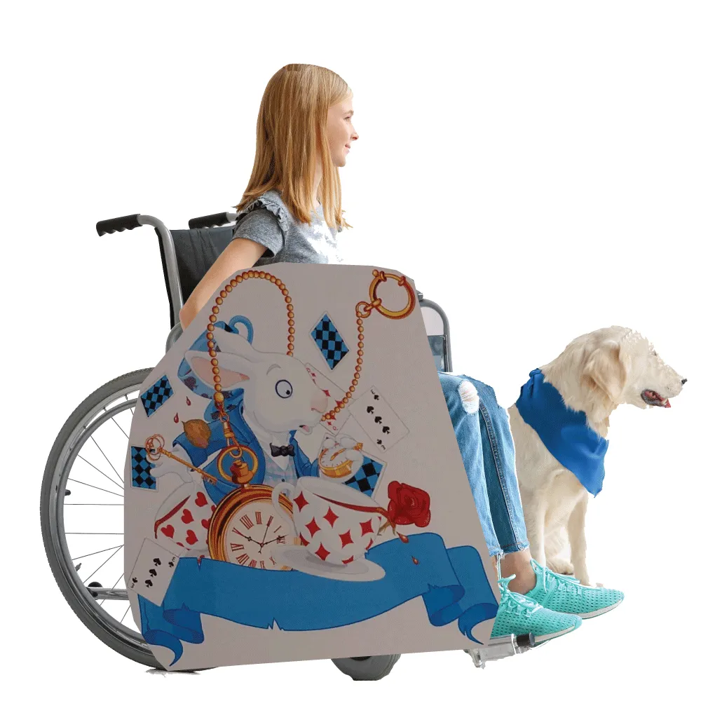 Alice in Wonderland Lookalike Wheelchair Costume Child's