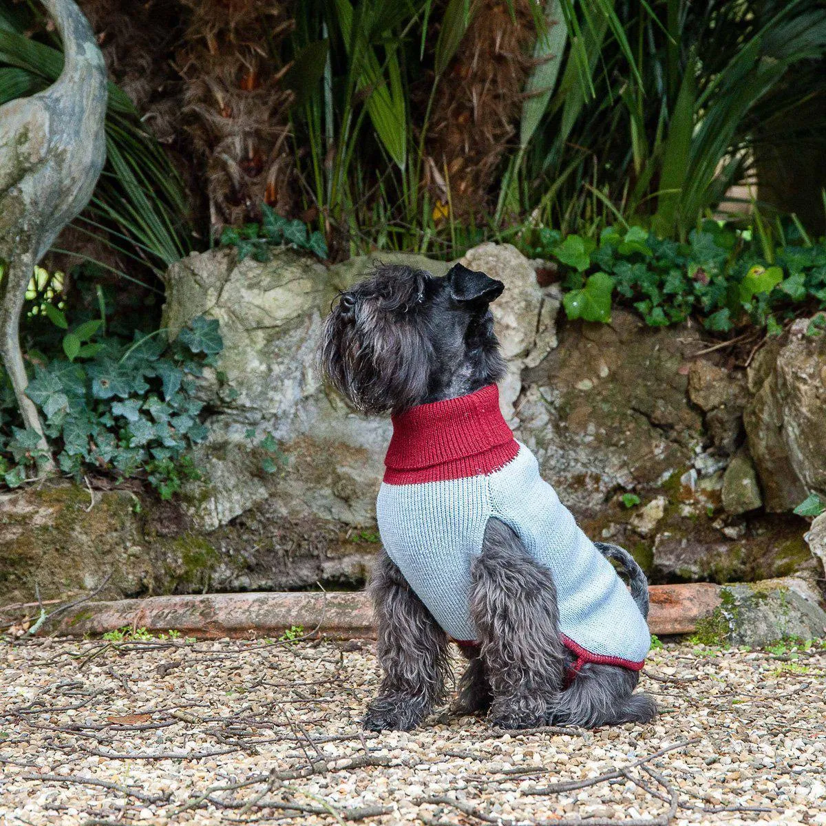 Bespoke Dog Sweater Powder Blue Stitch Alpaca