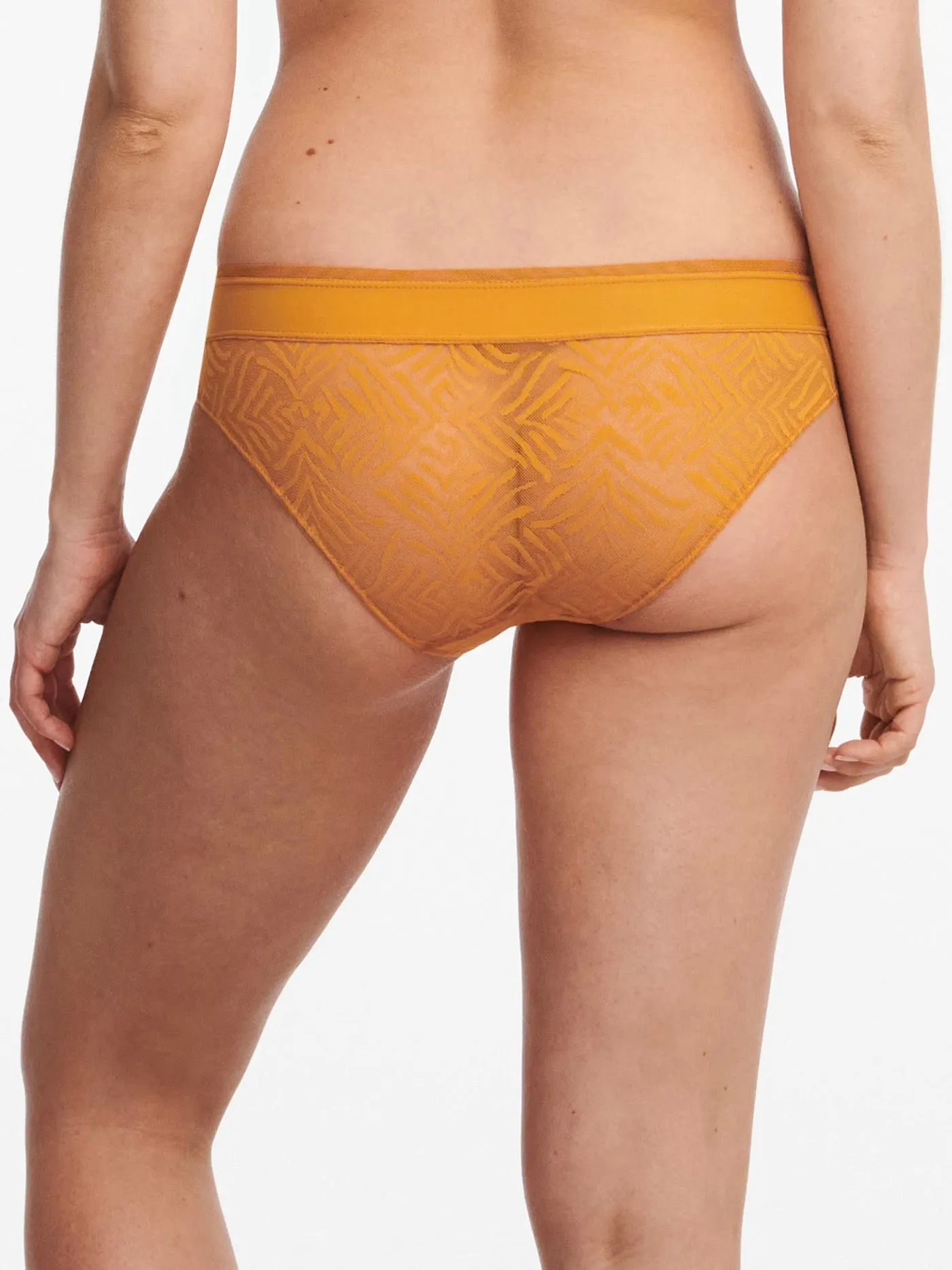 Culotte Graphic A - Ocre