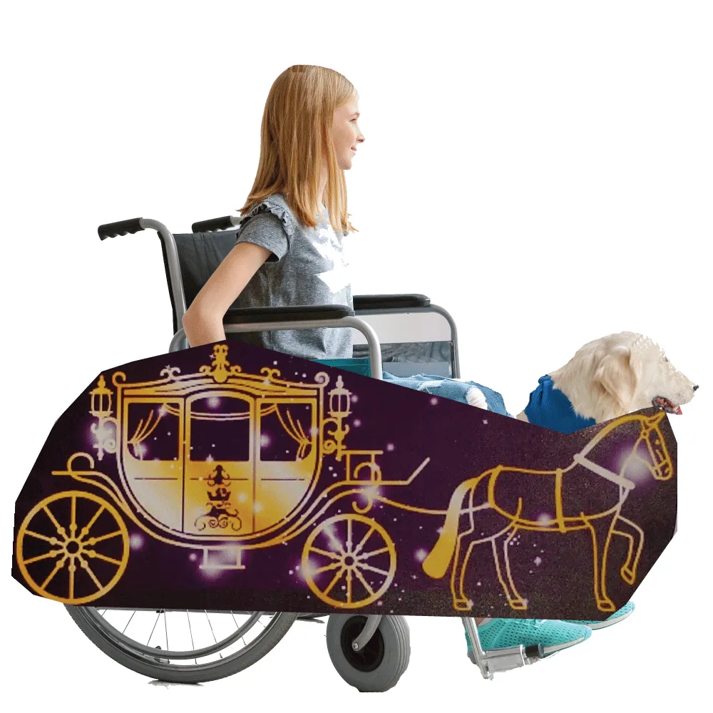 Dream Carriage Wheelchair Costume Child's