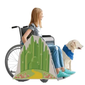 Emerald City and Yellow Brick Road Wheelchair Costume Child's