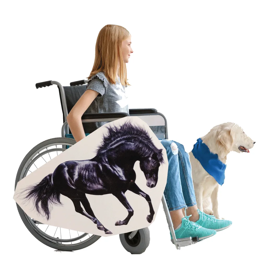 Friesian Horse Wheelchair Costume Child's