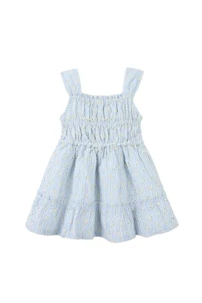 Gingersnaps Floral Eyelet Empire Dress with Smocking