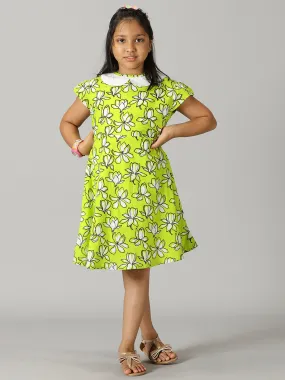 Girls Patter Pan collar Back Cut Out Dress