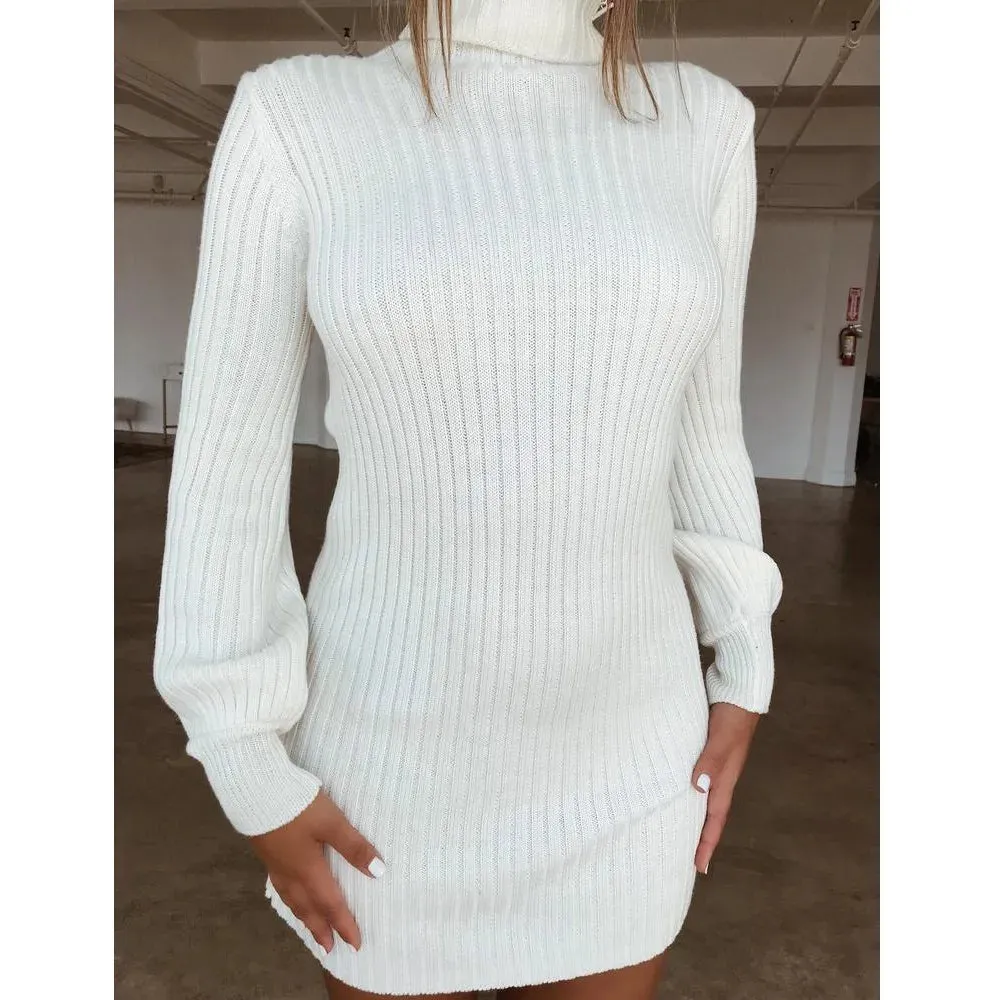 High Neck Slim Solid Wool Sweater Winter Autumn Basic Long Sleeve Casual Knitted Dress