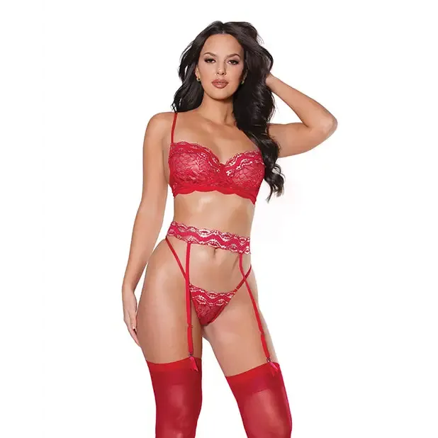 Holiday Metallic Stretch Lace Underwire Bra, Garter Belt & G-string Red/silver