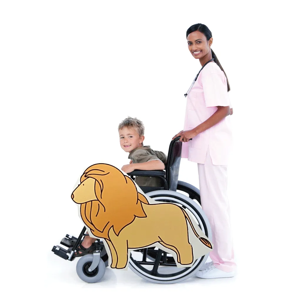 Lion 2 Wheelchair Costume Child's