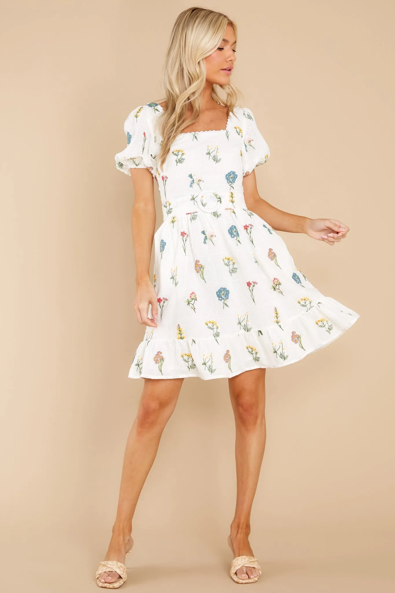 Misha Embroidered Puff Sleeve Dress