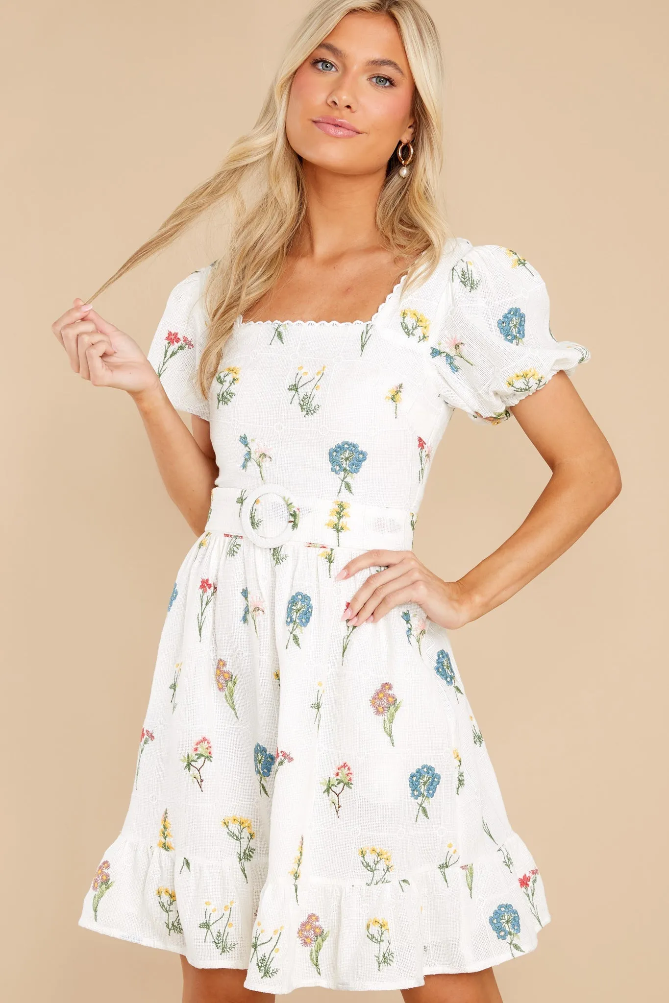 Misha Embroidered Puff Sleeve Dress