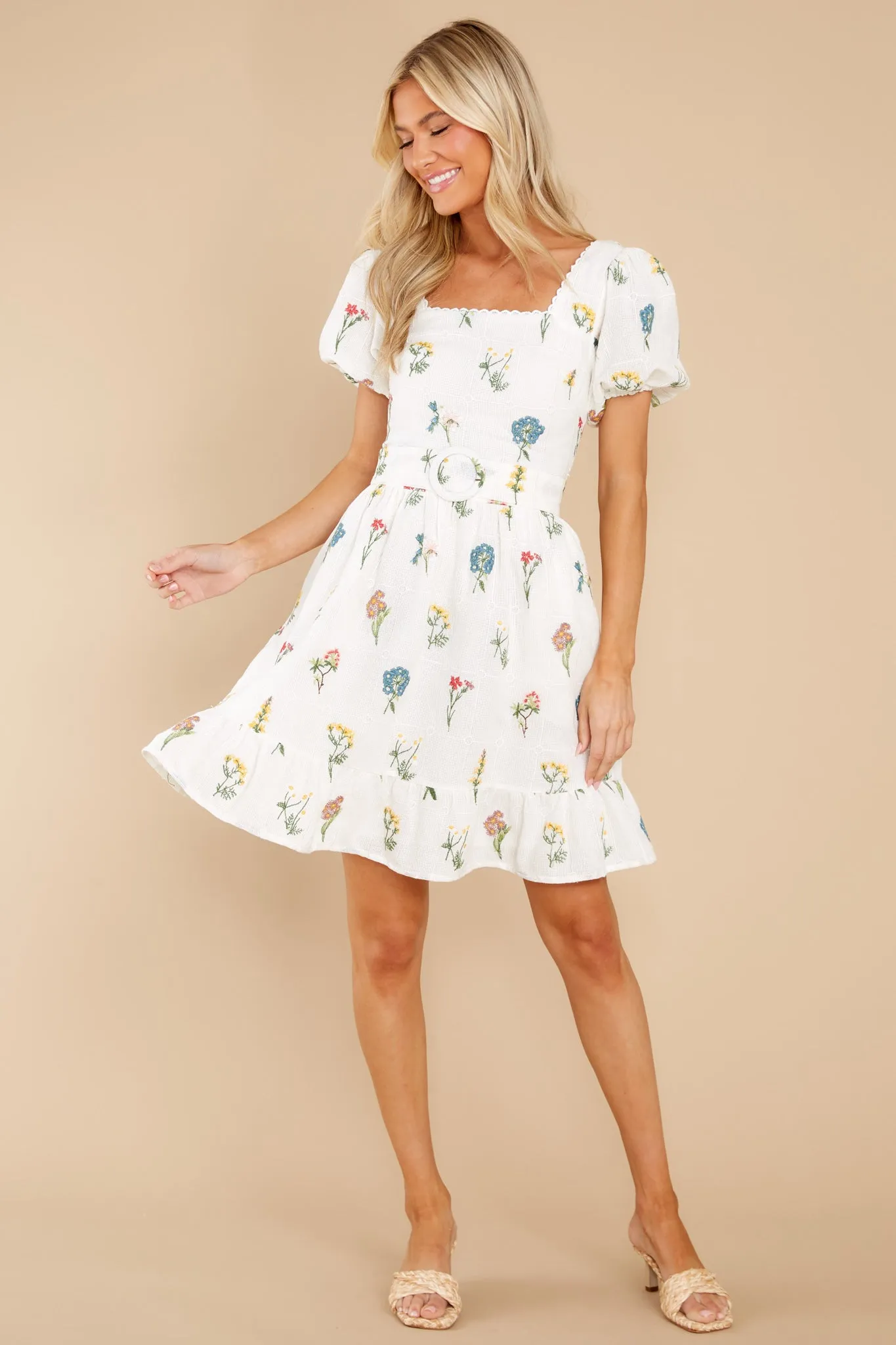 Misha Embroidered Puff Sleeve Dress