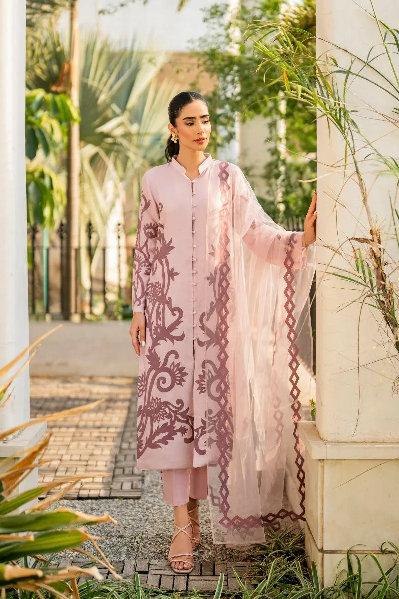 Natasha Kamal - Bonita - pink applique - Cotton net lined with cotton silk - 3 Piece