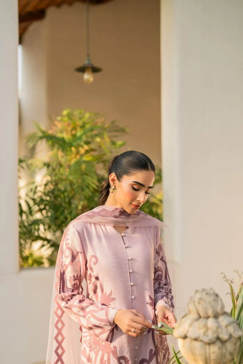 Natasha Kamal - Bonita - pink applique - Cotton net lined with cotton silk - 3 Piece