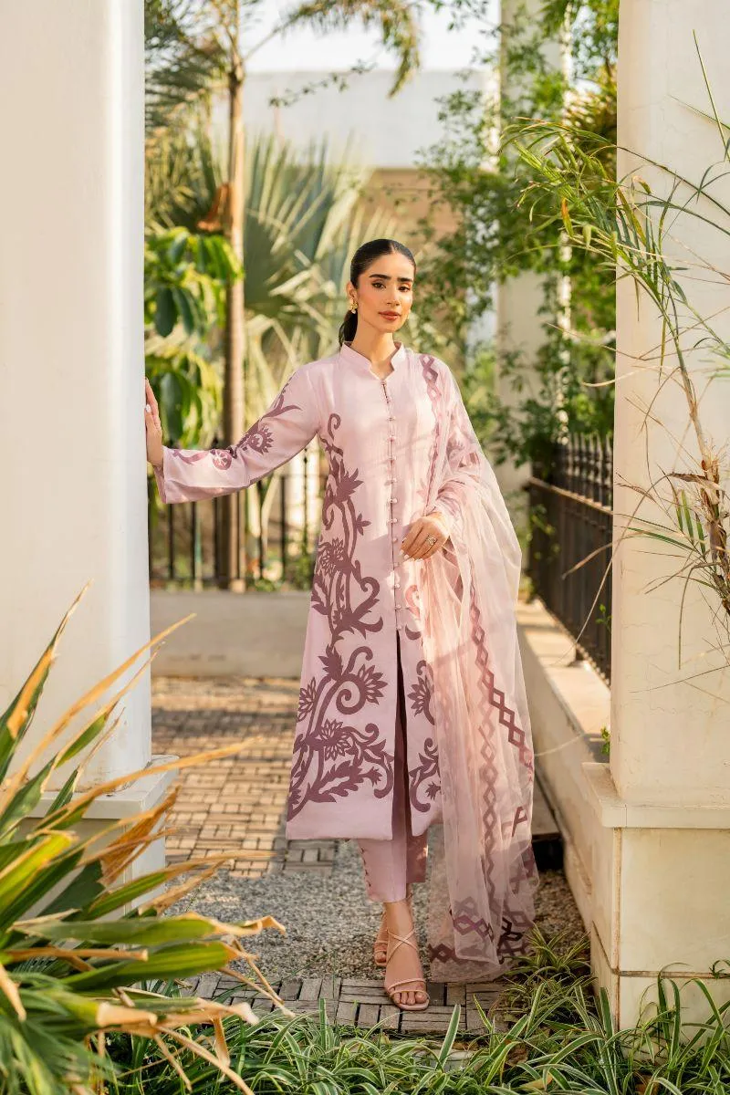 Natasha Kamal - Bonita - pink applique - Cotton net lined with cotton silk - 3 Piece