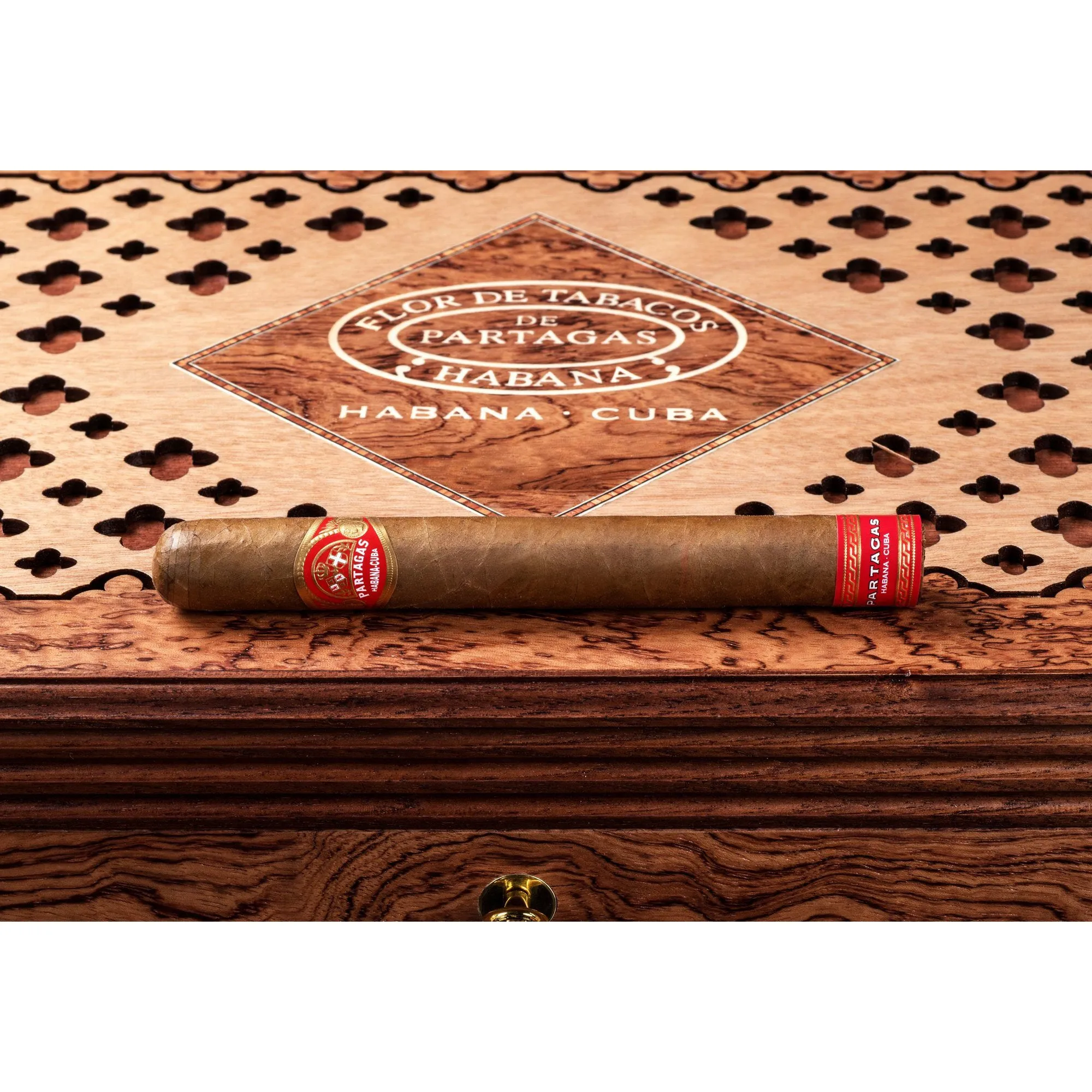 Partagas Tropicales 175 Aniversario Cigar Humidor