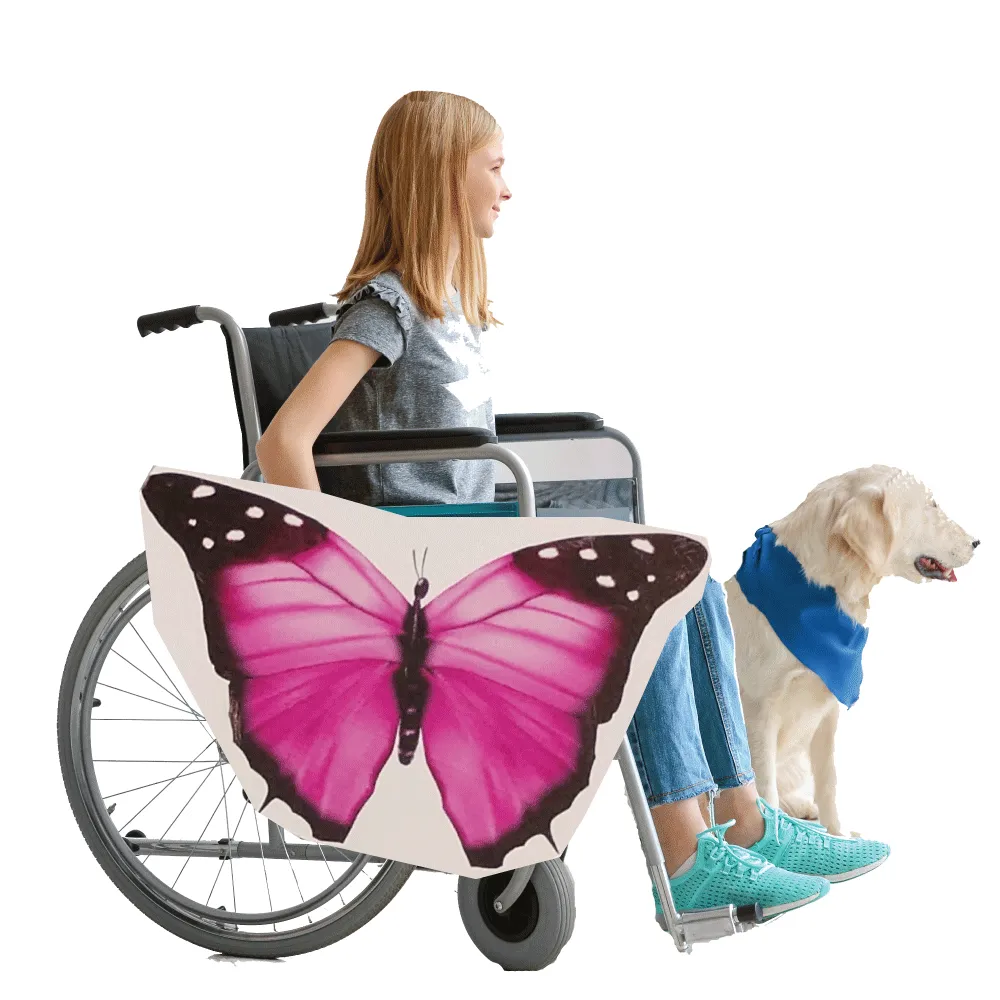 Pink Butterfly 2 Wheelchair Costume Child's