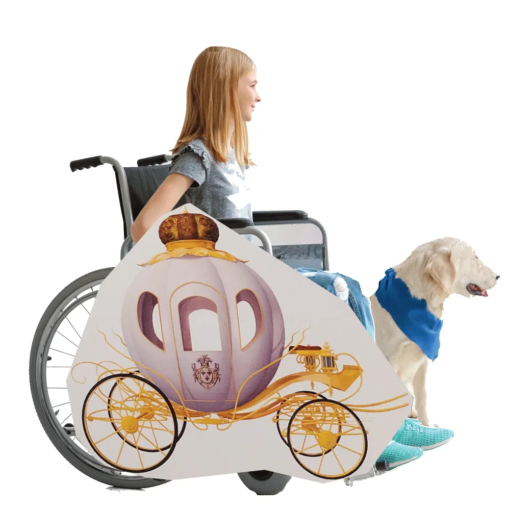 Princess Carriage Wheelchair Costume Child's