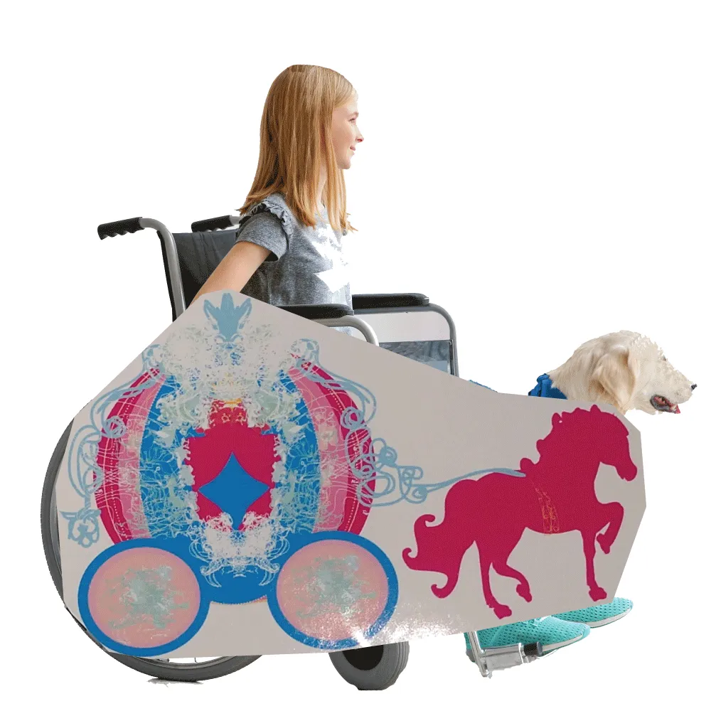 Princess Horse and Buggy 2 Wheelchair Costume Child's