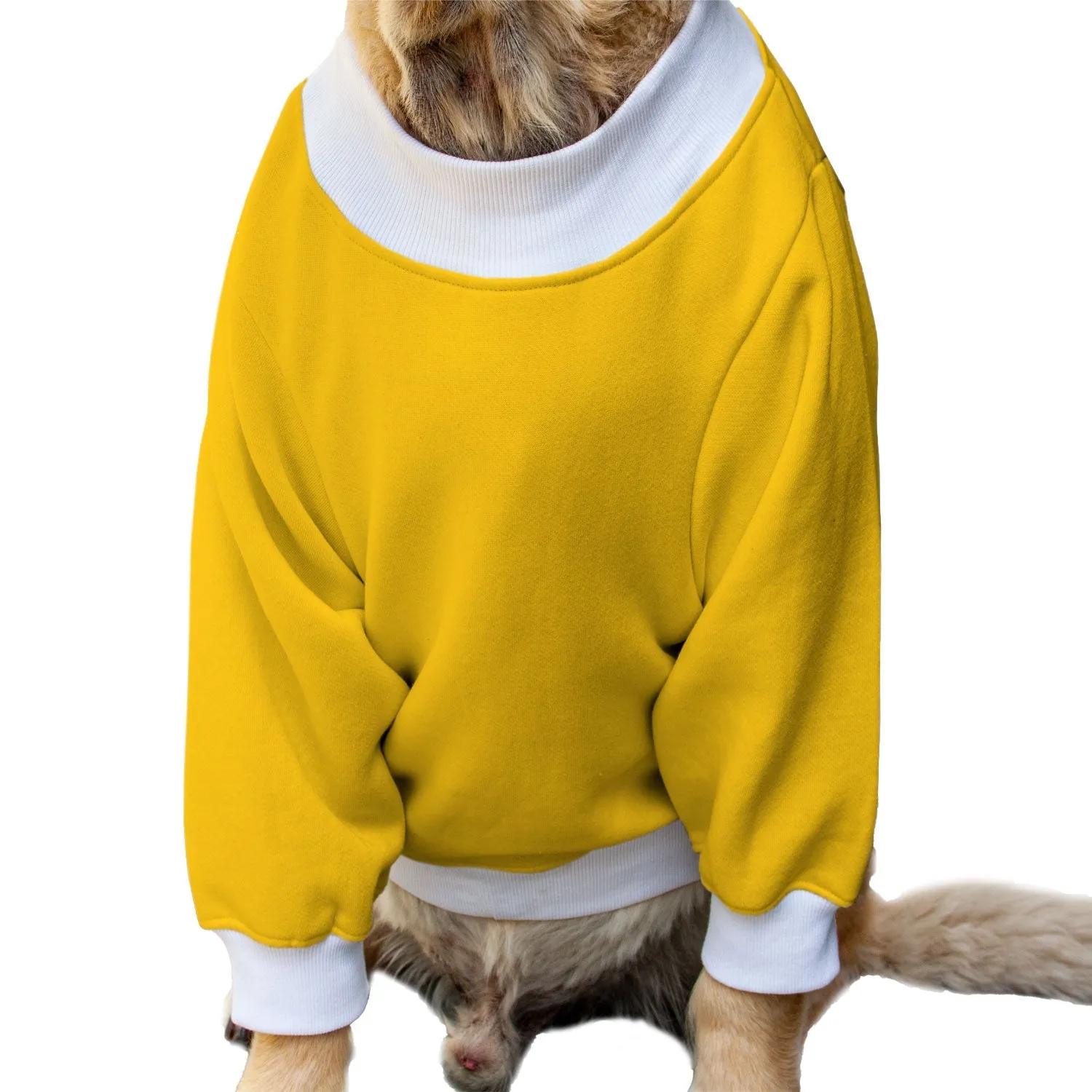 Ruse 'Basics' Crafty Crew Neck Full Sleeve Plain Sweatshirt For Dogs