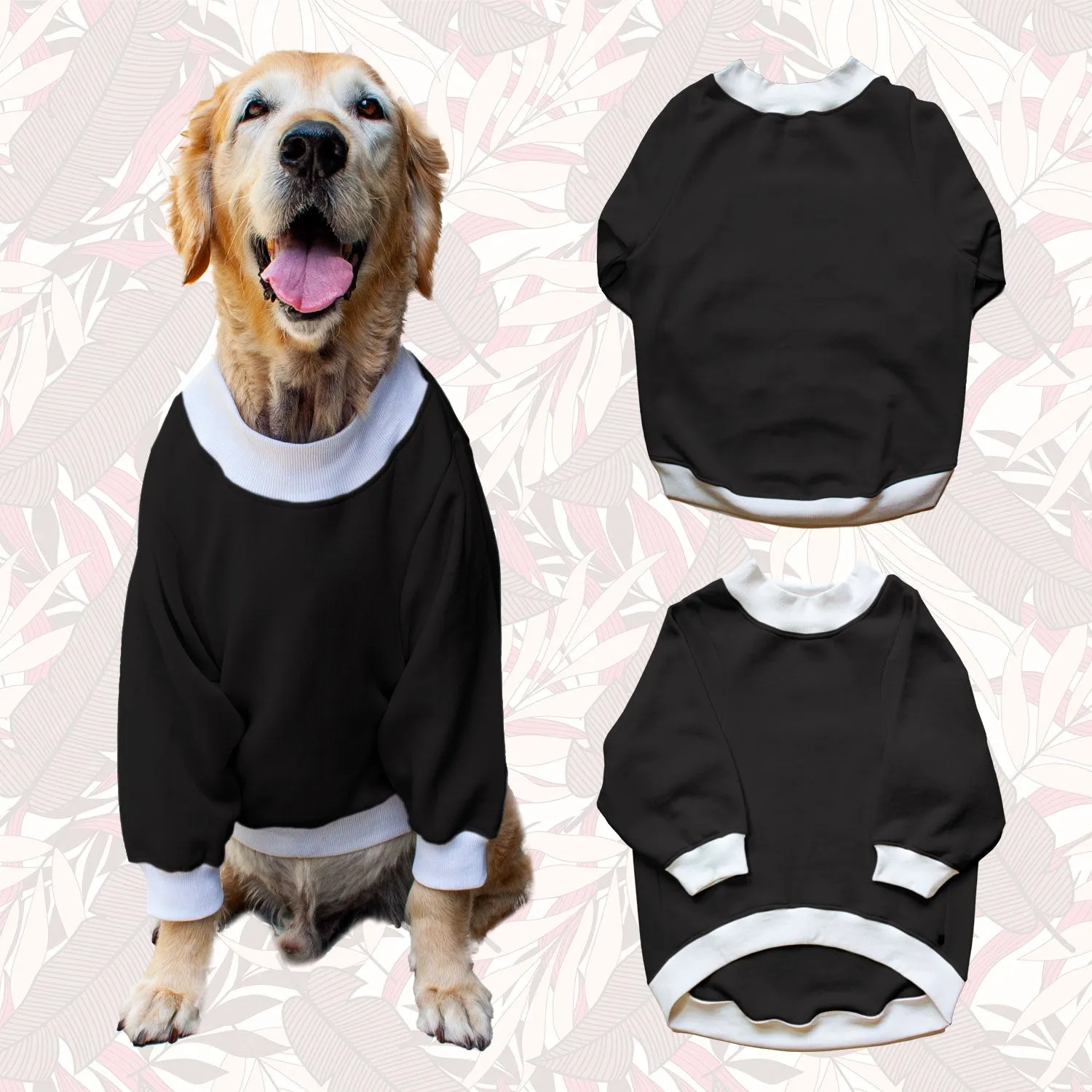 Ruse 'Basics' Crafty Crew Neck Full Sleeve Plain Sweatshirt For Dogs