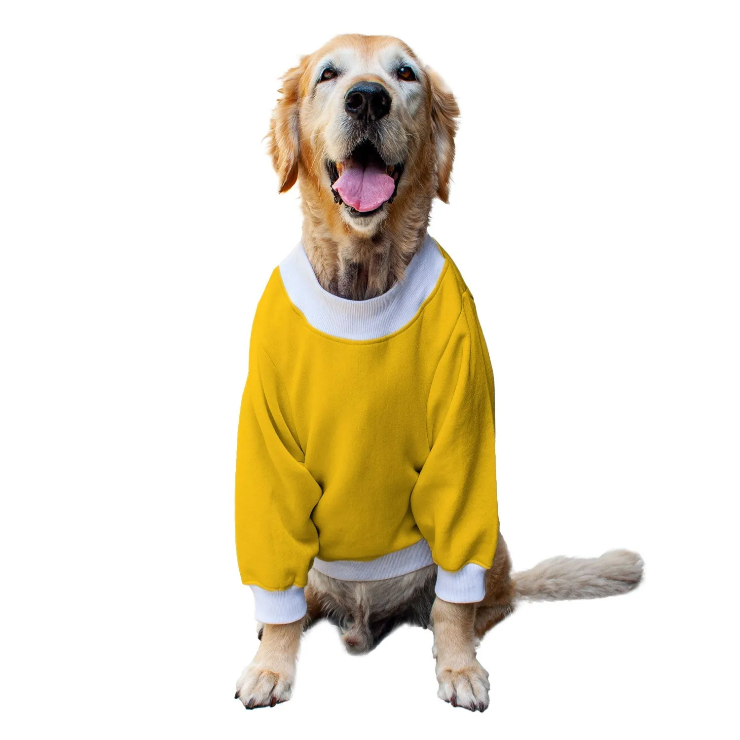 Ruse 'Basics' Crafty Crew Neck Full Sleeve Plain Sweatshirt For Dogs