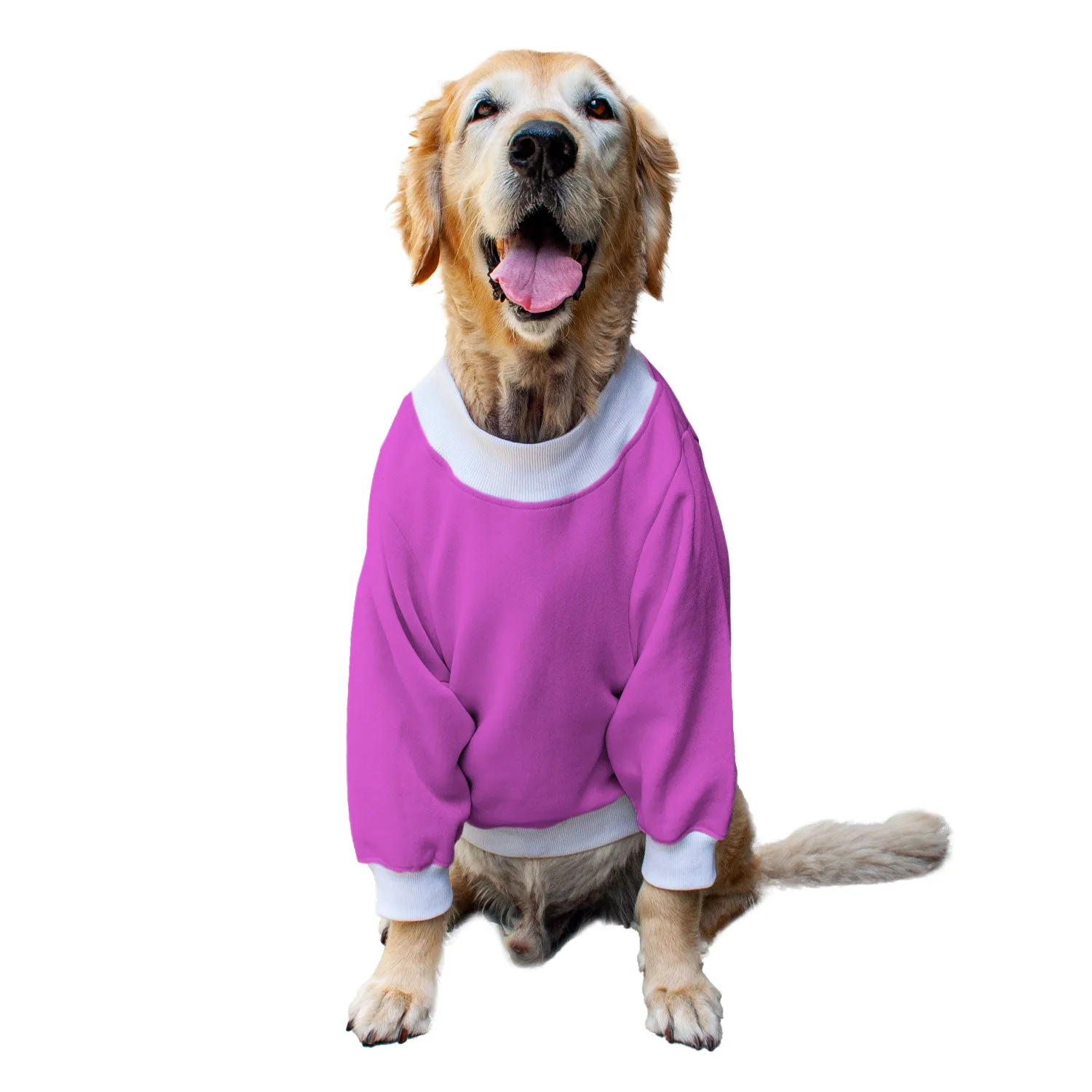 Ruse 'Basics' "Halloween Boo!" Printed Crew Neck Full Sleeve Sweatshirt For Dogs