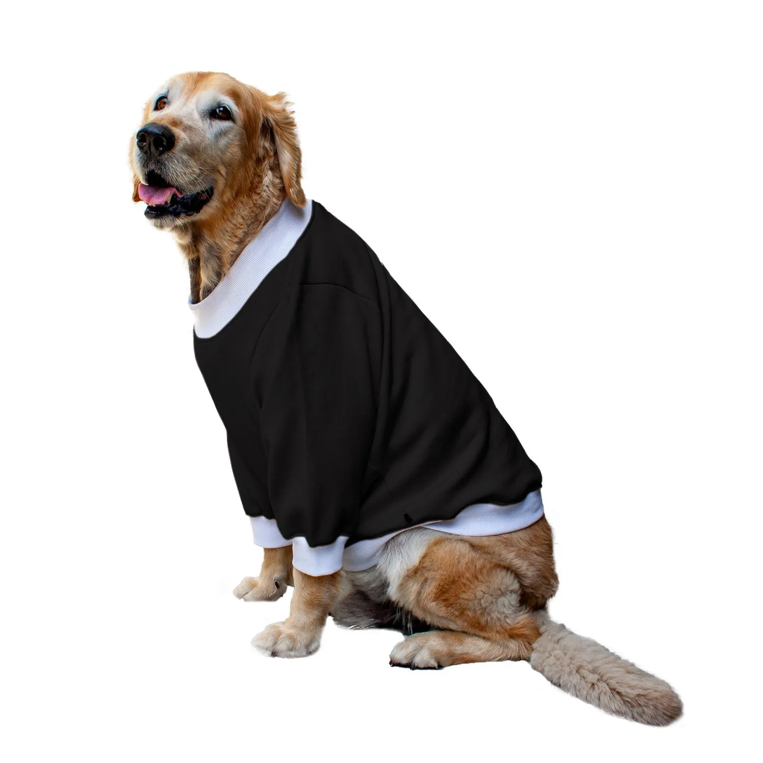 Ruse 'Basics' "Halloween Boo!" Printed Crew Neck Full Sleeve Sweatshirt For Dogs