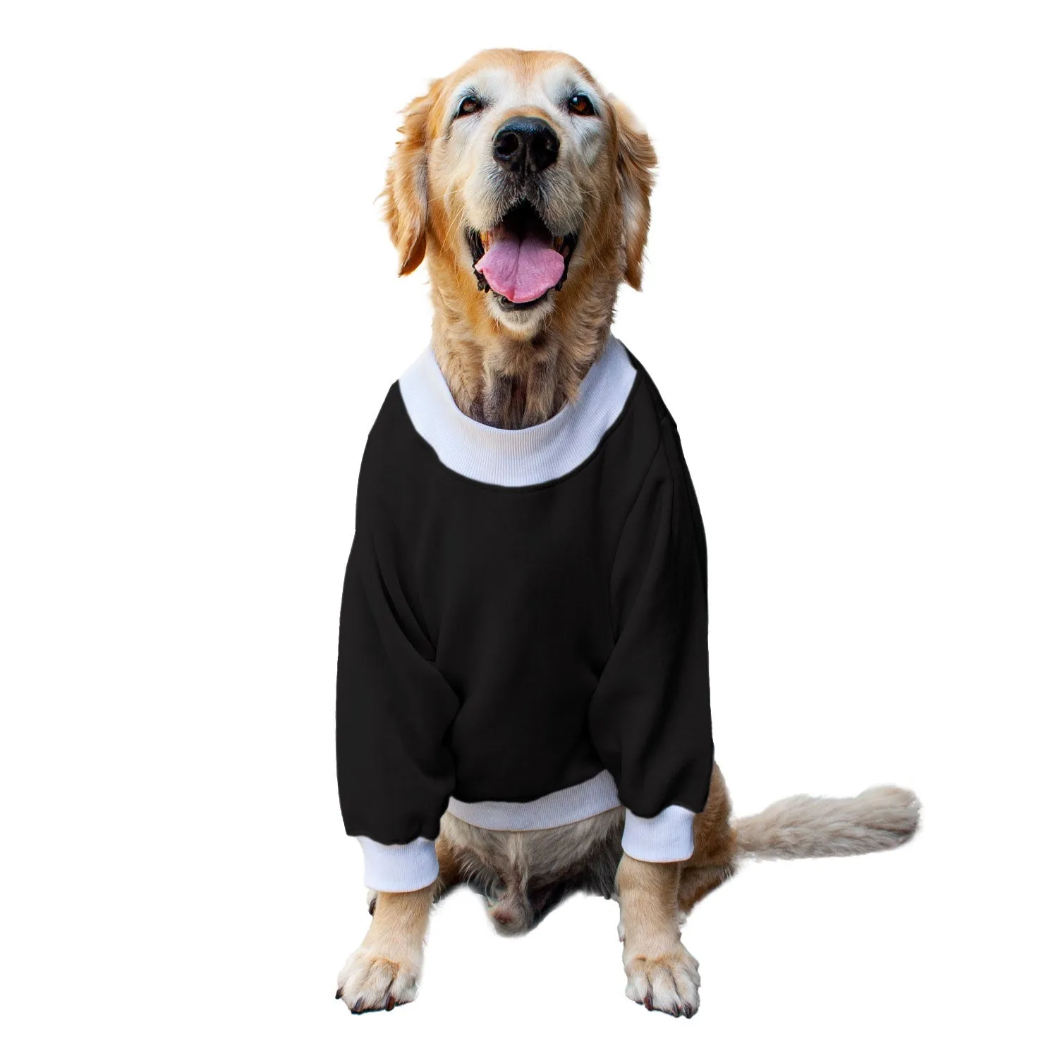 Ruse 'Basics' "Halloween Boo!" Printed Crew Neck Full Sleeve Sweatshirt For Dogs