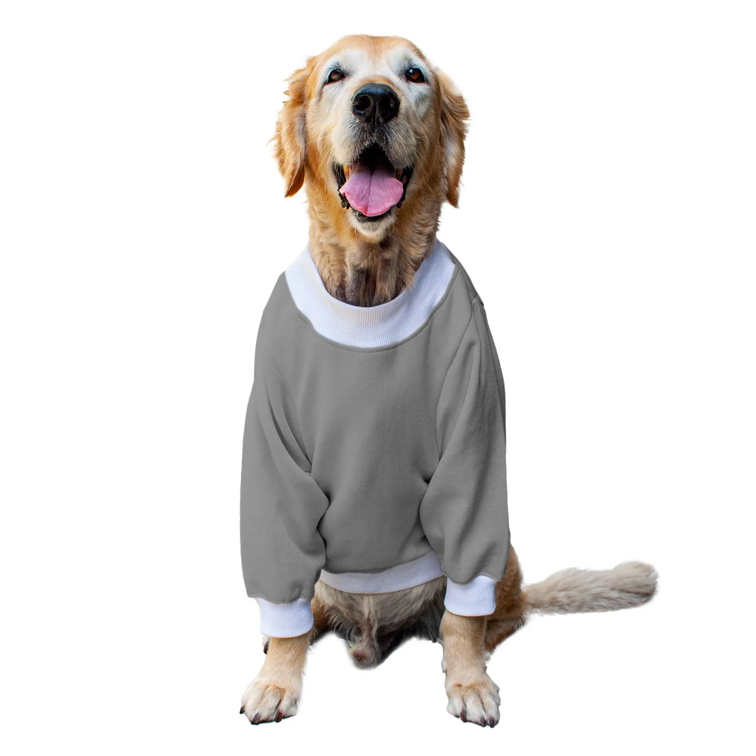 Ruse 'Basics' "Halloween Boo!" Printed Crew Neck Full Sleeve Sweatshirt For Dogs