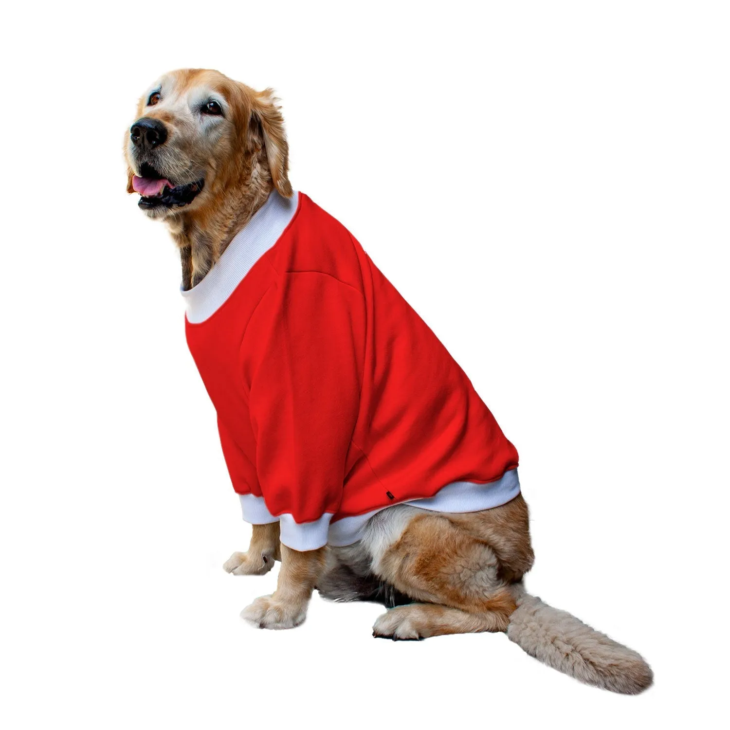 Ruse 'Basics' "Halloween Boo!" Printed Crew Neck Full Sleeve Sweatshirt For Dogs