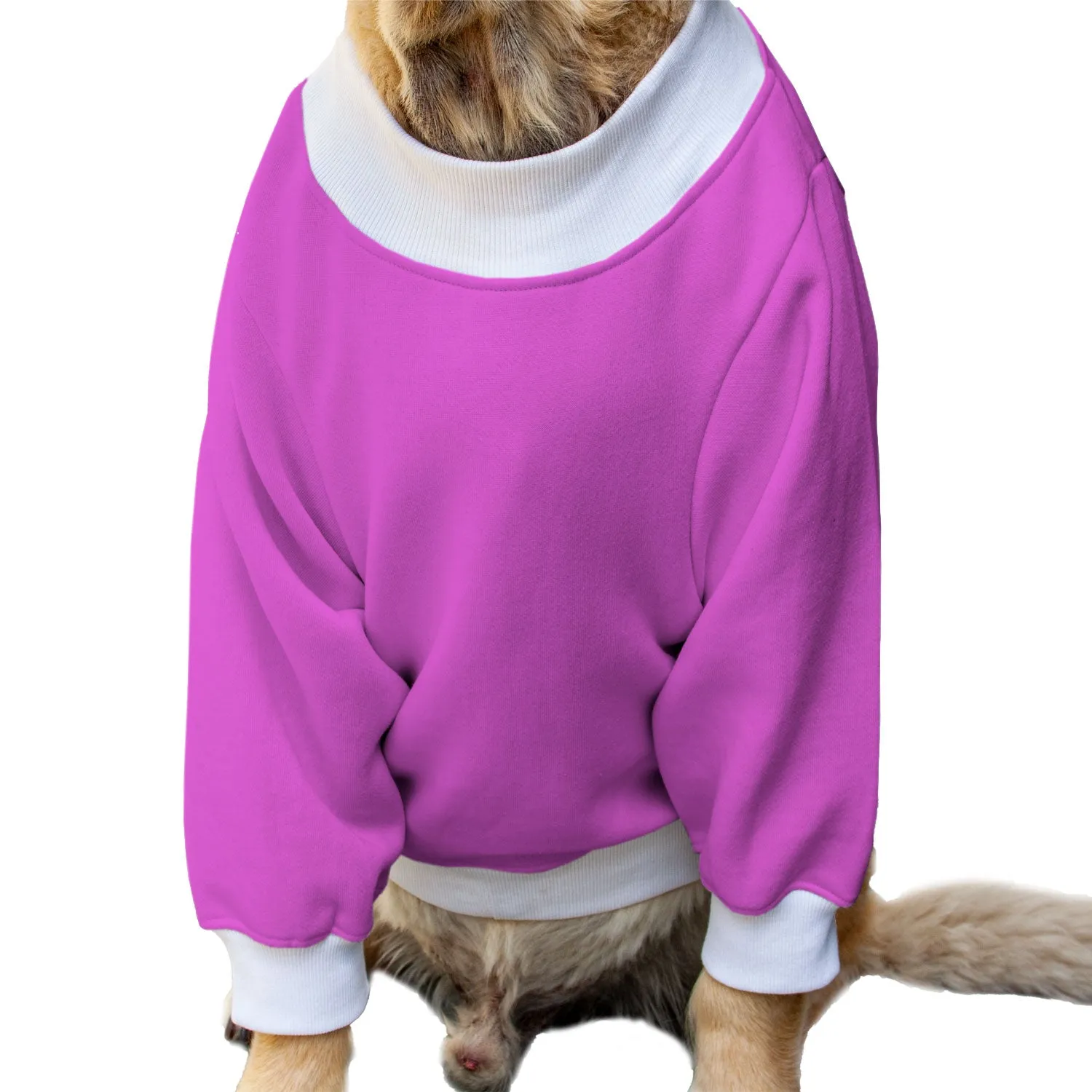 Ruse 'Basics' "Halloween Boo!" Printed Crew Neck Full Sleeve Sweatshirt For Dogs