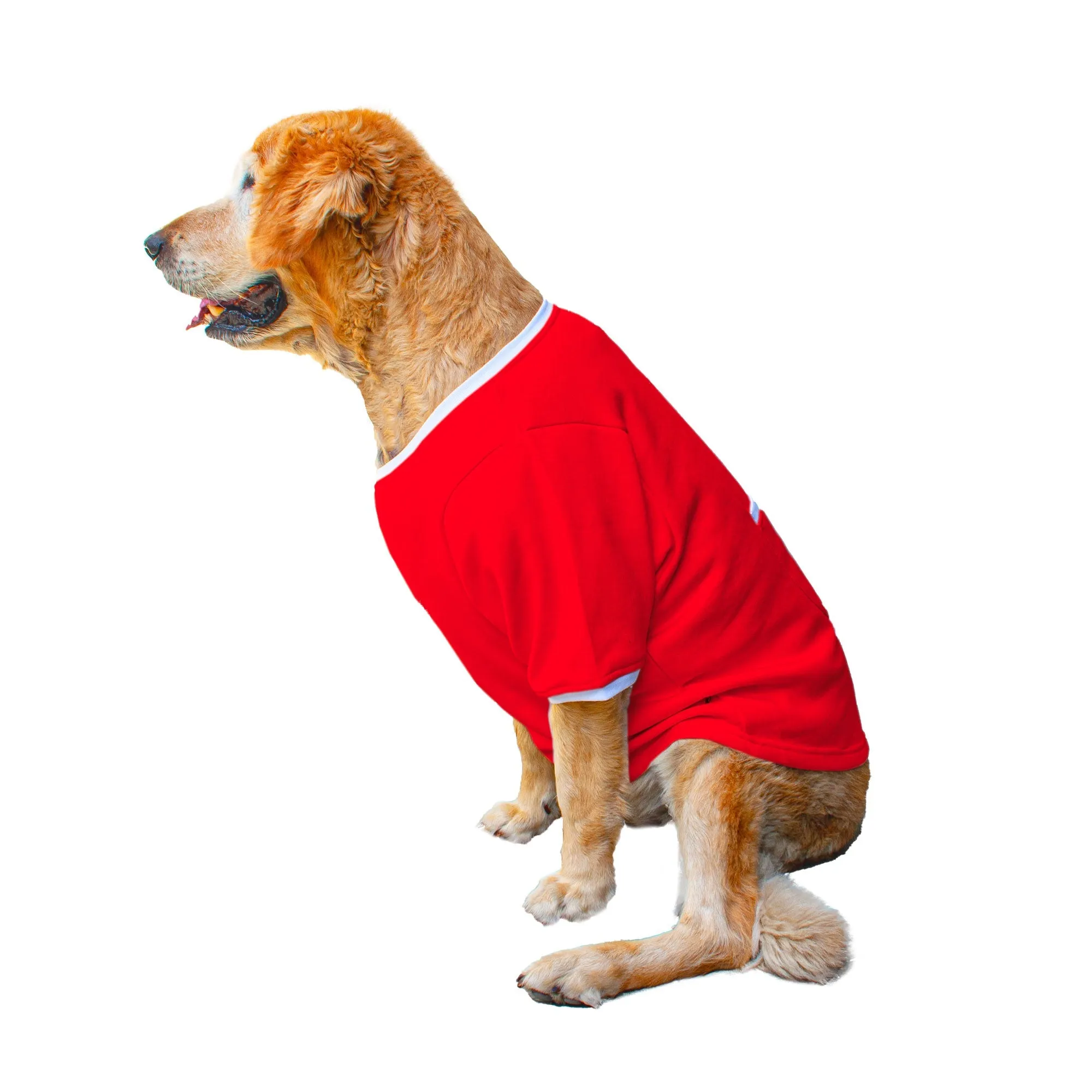 Ruse 'Basics' Solid Crew Neck Full Sleeve Expedition Sweatshirt For Dogs