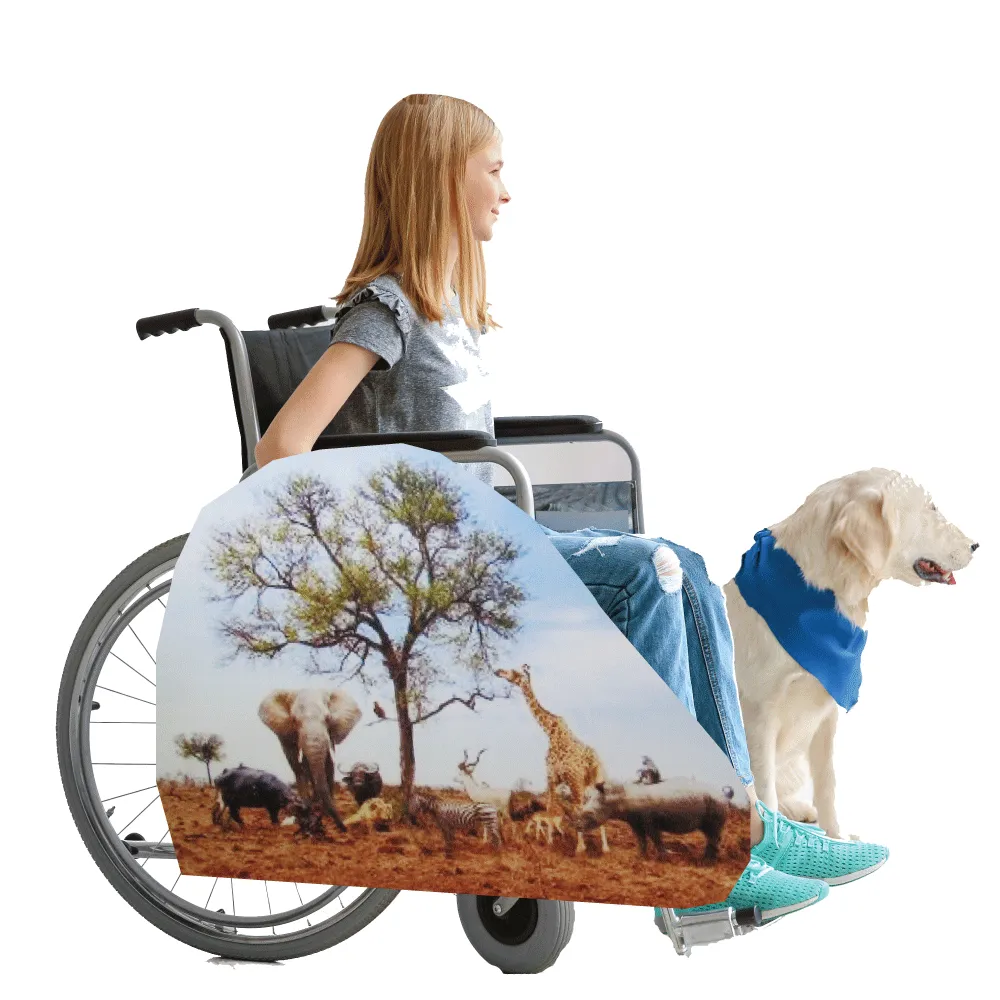 Savannah Desert Wheelchair Costume Child's