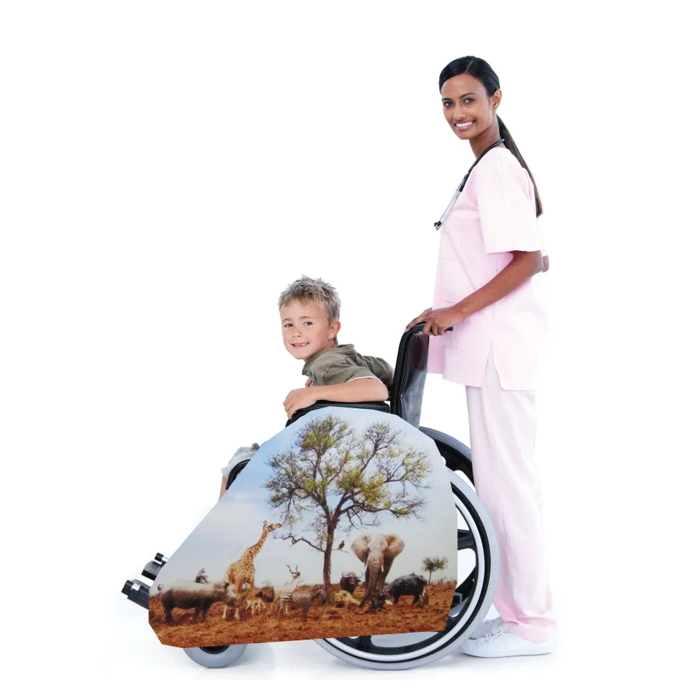 Savannah Desert Wheelchair Costume Child's